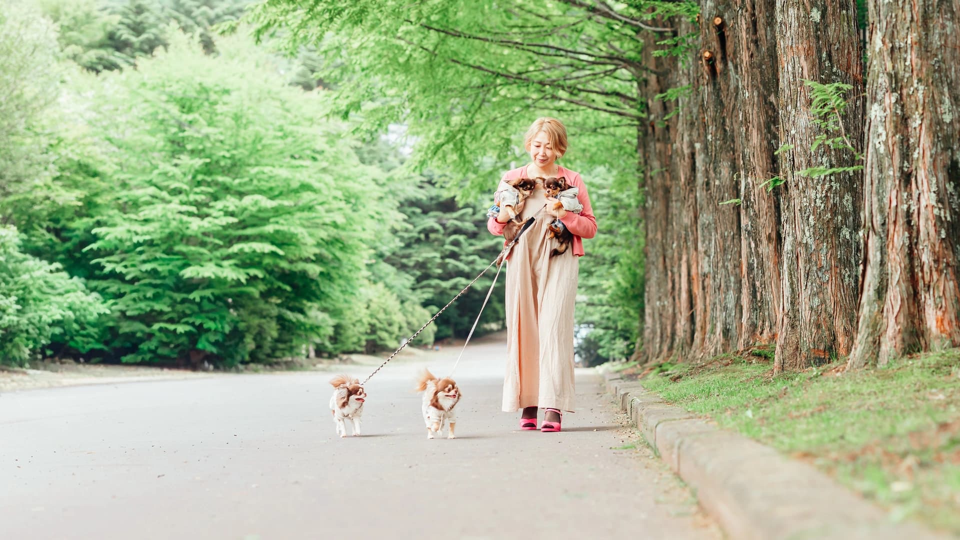 軽井沢の緑道で愛犬たちと歩く横江美和