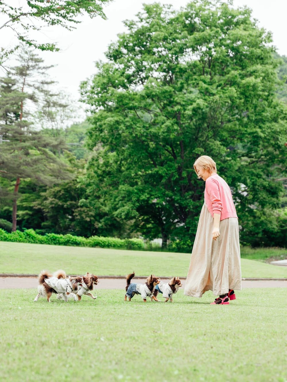芝生の上を4匹の愛犬たちと歩く横江美和